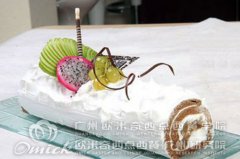 高中毕业读什么专业好？