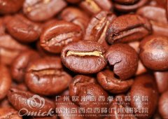 广州欧米奇推荐5种美味原乡的经典国外咖啡豆