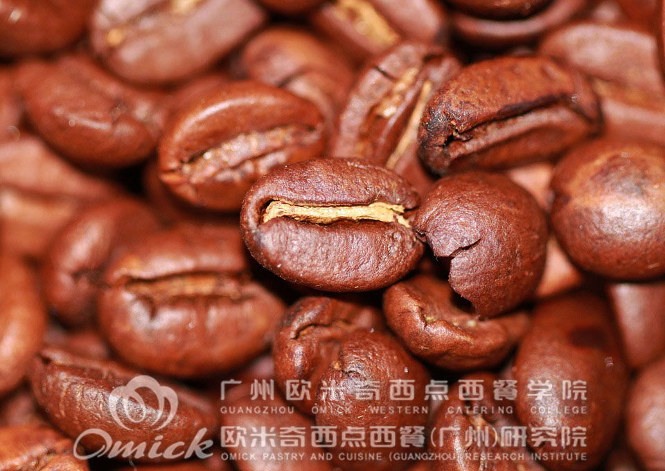 广州欧米奇
