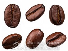 广州欧米奇告诉你，为什么喝咖啡感觉到苦？