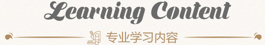 专业学习内容